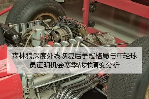 森林狼深度外线恢复后争冠格局与年轻球员证明机会赛季战术演变分析